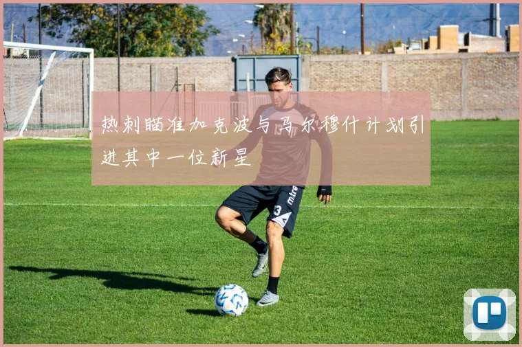热刺瞄准加克波与马尔穆什计划引进其中一位新星
